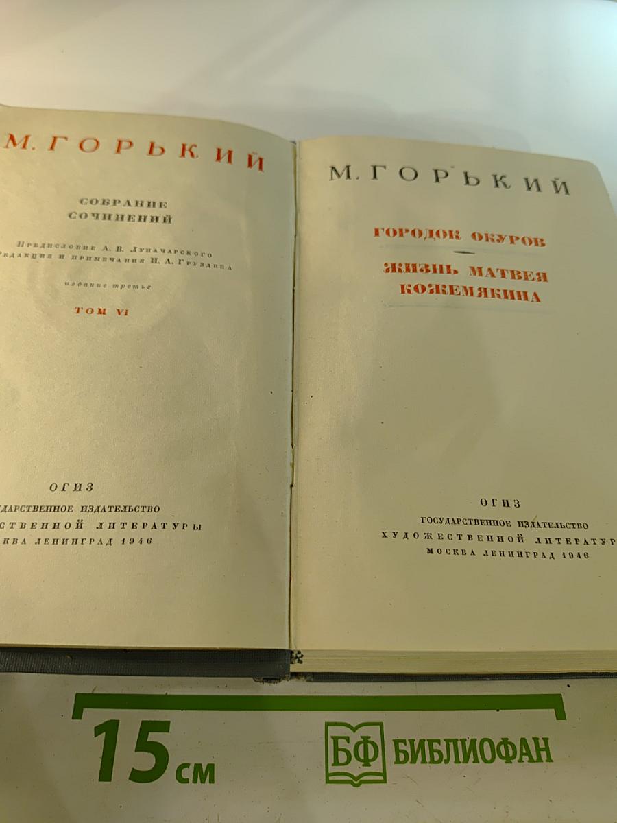 Собрание сочинений. Том VI. Городок Окуров. Жизнь Матвея Кожемякина