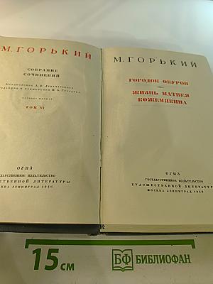 Собрание сочинений. Том VI. Городок Окуров. Жизнь Матвея Кожемякина