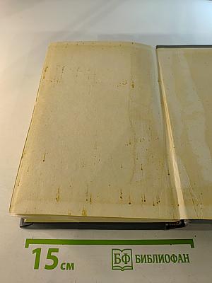 Собрание сочинений. Том VI. Городок Окуров. Жизнь Матвея Кожемякина