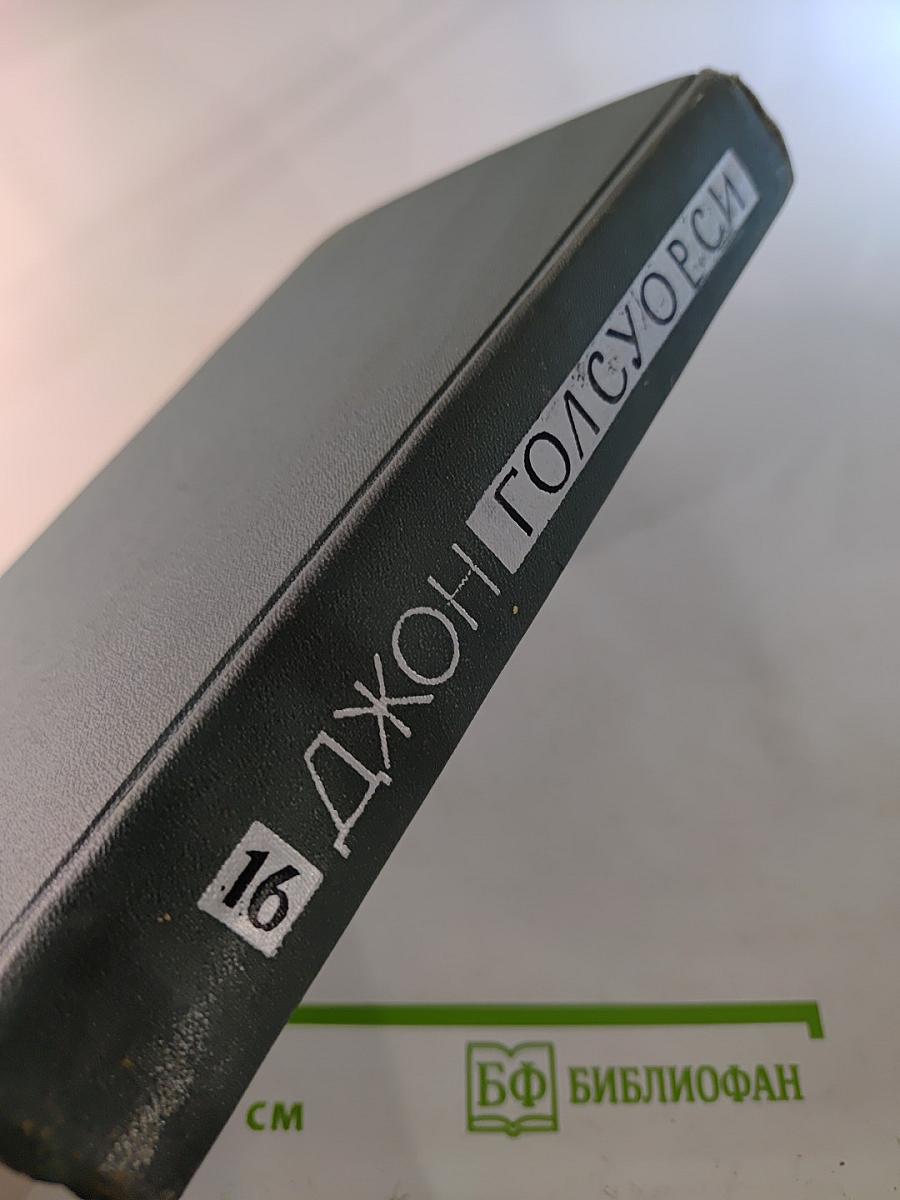 Собрание сочинений в шестнадцати томах. Том 16