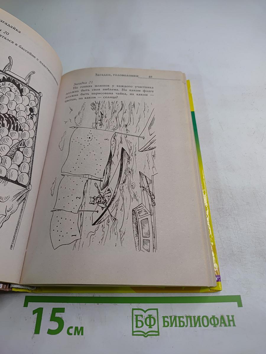 Разгадайка. Книга головоломок для сообразительных мальчиков и девочек