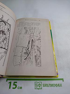 Разгадайка. Книга головоломок для сообразительных мальчиков и девочек