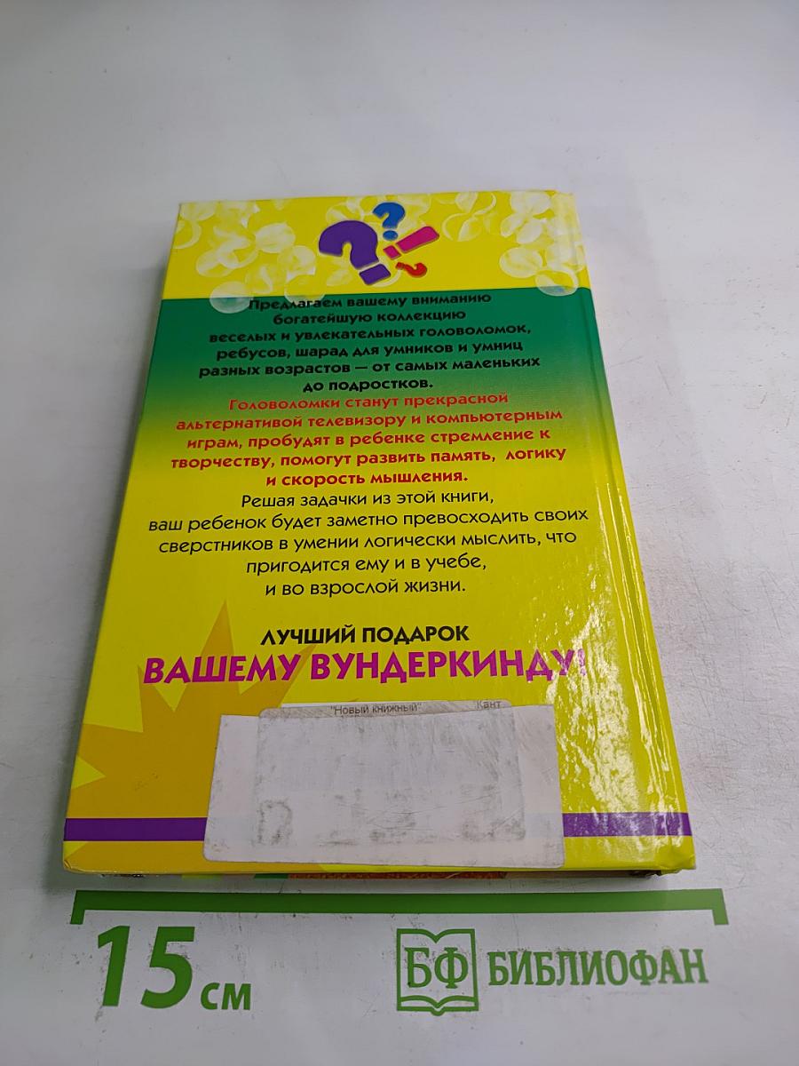 Разгадайка. Книга головоломок для сообразительных мальчиков и девочек