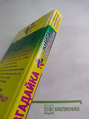 Разгадайка. Книга головоломок для сообразительных мальчиков и девочек