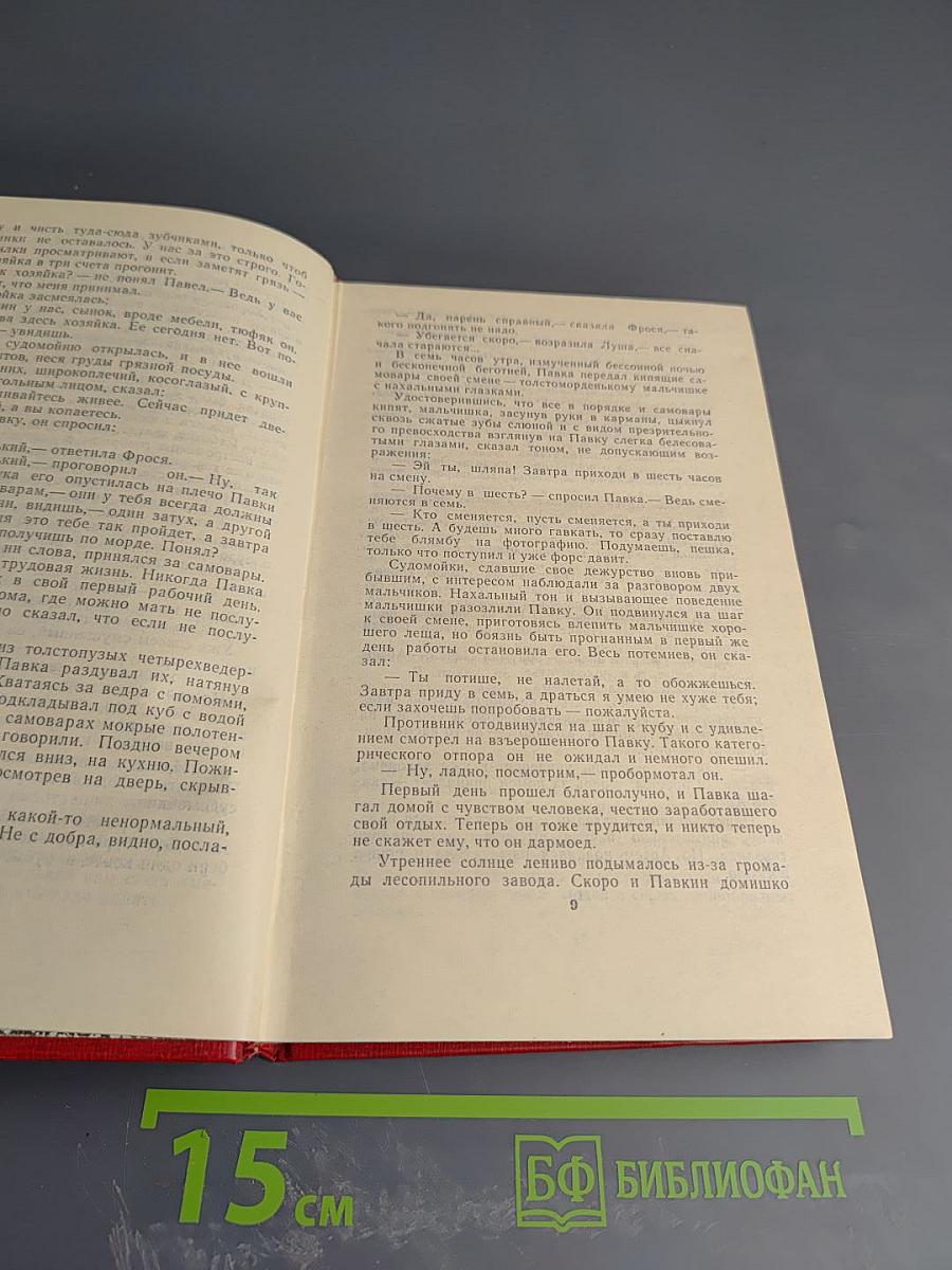 Как закалялась сталь