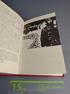 Как закалялась сталь