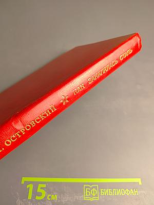 Как закалялась сталь