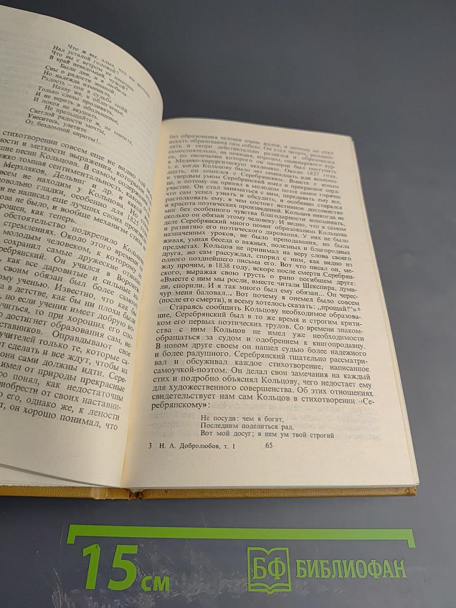 Литературная критика. Том 1