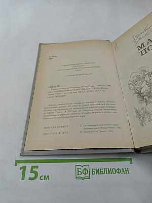 Удивительные приключения Марко Поло