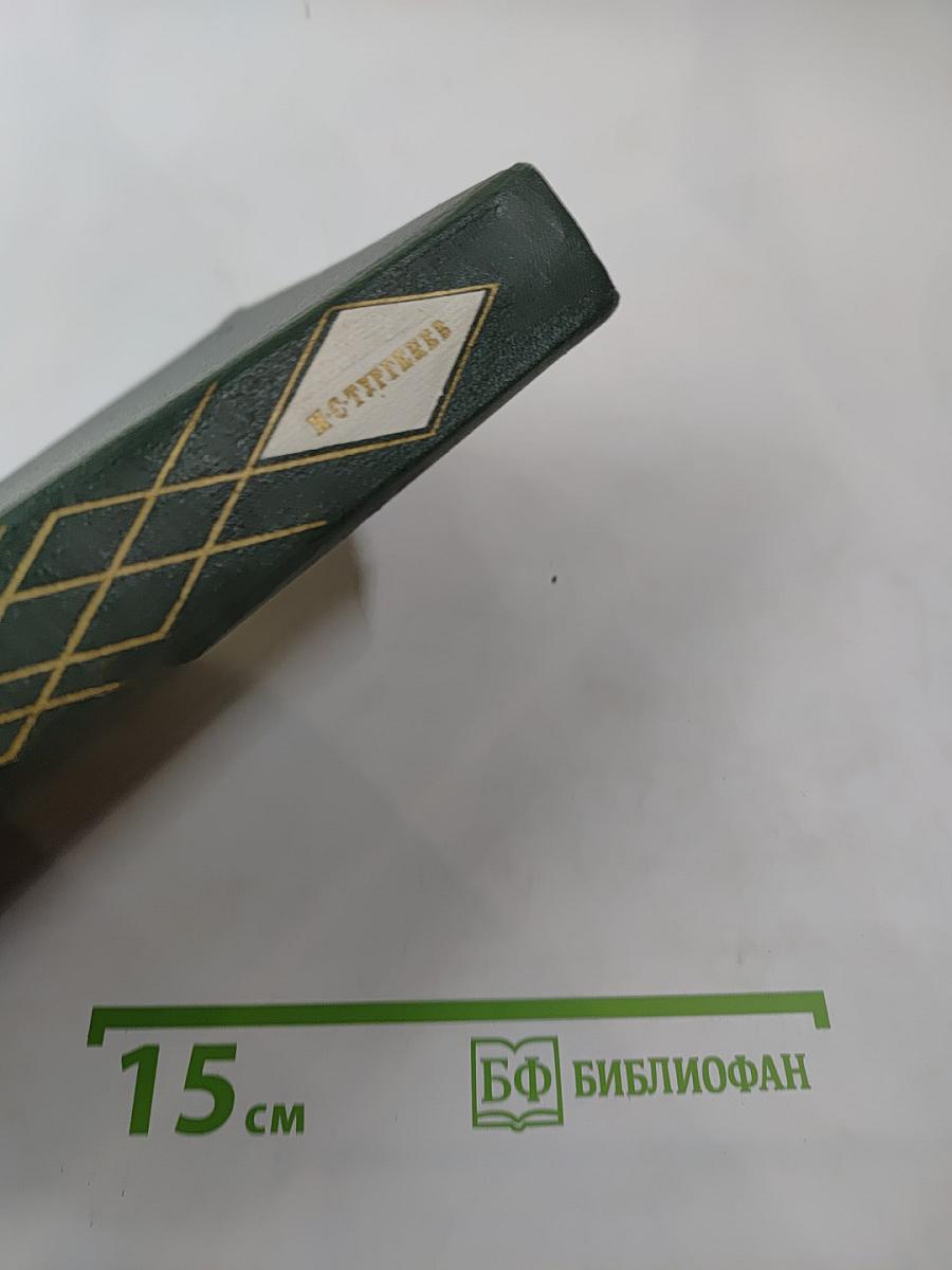 Собрание сочинений. Том 5. Повести и рассказы 1870-1883. Стихотворения в прозе