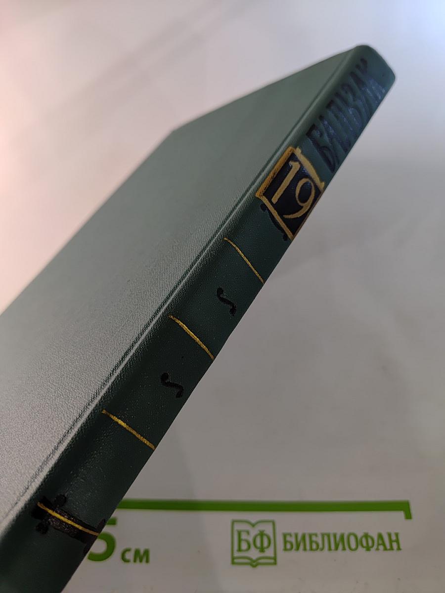 Человеческая комедия. Том 19