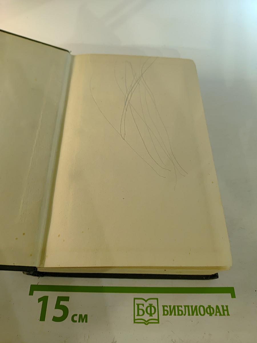 Сын рыбака (Собрание сочинений. Том второй)