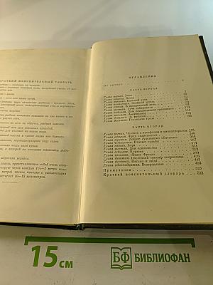 Сын рыбака (Собрание сочинений. Том второй)