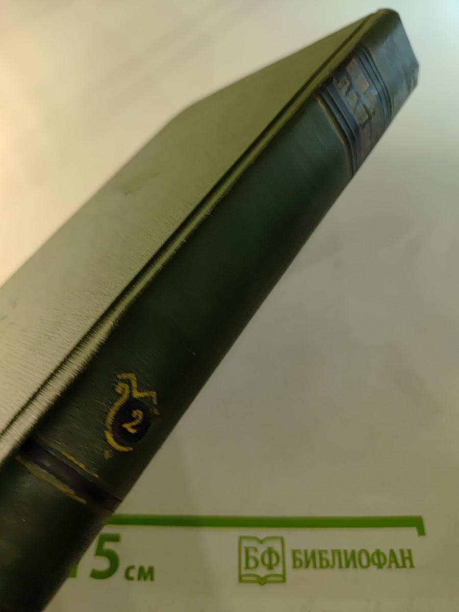 Сын рыбака (Собрание сочинений. Том второй)