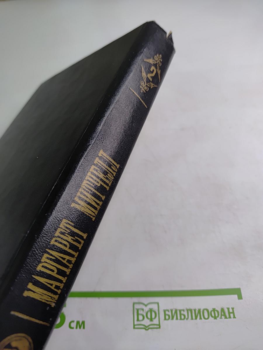 Унесенные ветром. Том II