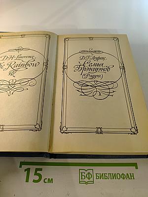 Семья Брэнгвенов