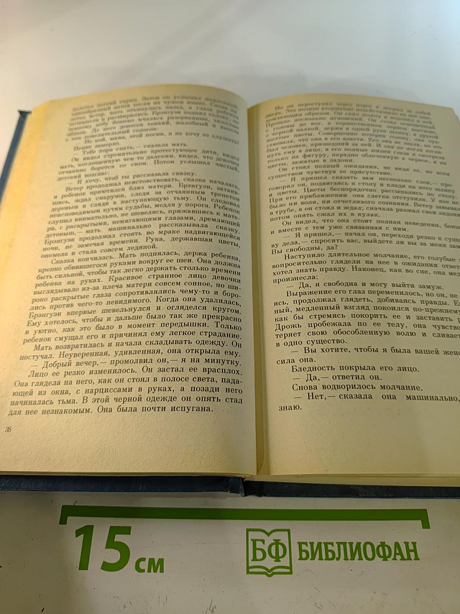 Семья Брэнгвенов