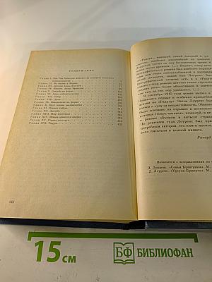 Семья Брэнгвенов