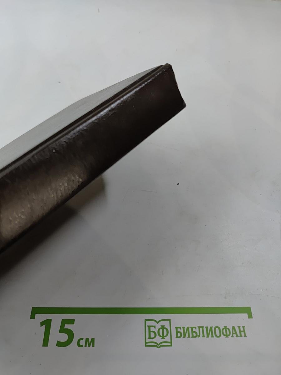 Богатые тоже плачут. Книга вторая