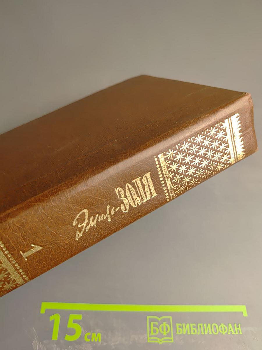 Эмиль Золя. Собрание сочинений. Том первый: Карьера Ругонов, Добыча