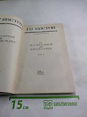 Женщины и короли. От Великого Конде до Короля-Солнце. Том 4