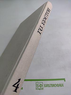 Женщины и короли. От Великого Конде до Короля-Солнце. Том 4