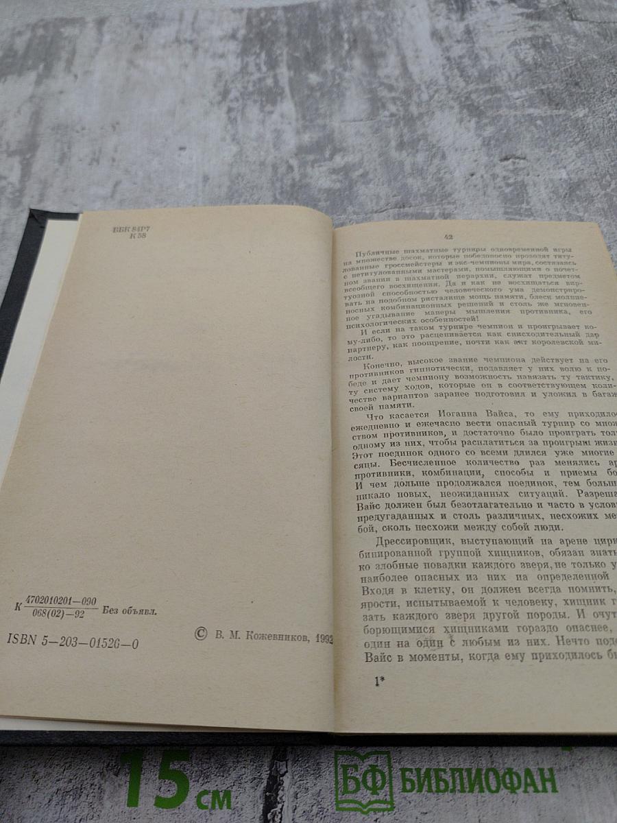 Щит и меч. Книга 2