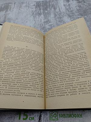 Щит и меч. Книга 2