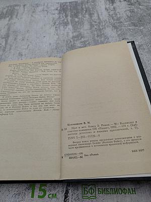 Щит и меч. Книга 2