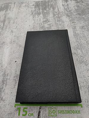 Щит и меч. Книга 2