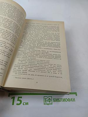 Романы. Одеты камнем. Радищев. Михайловский замок