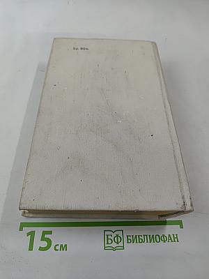 Романы. Одеты камнем. Радищев. Михайловский замок