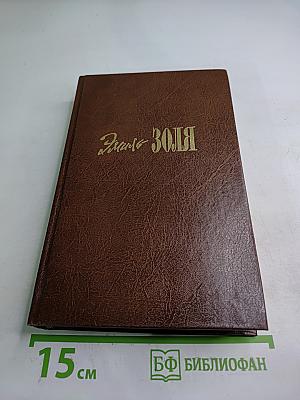 Эмиль Золя. Том двенадцатый: Жерминаль