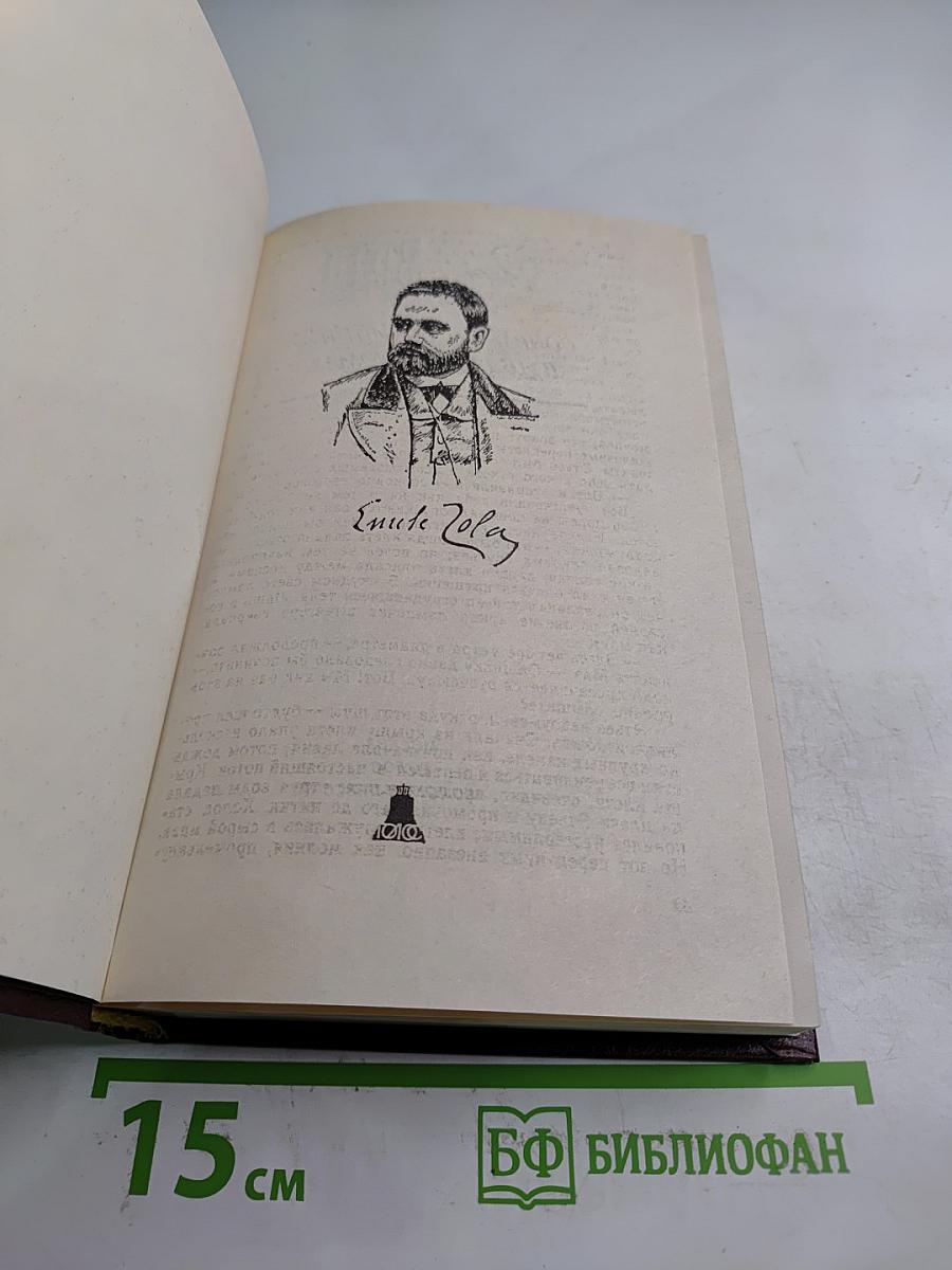 Эмиль Золя. Том двенадцатый: Жерминаль
