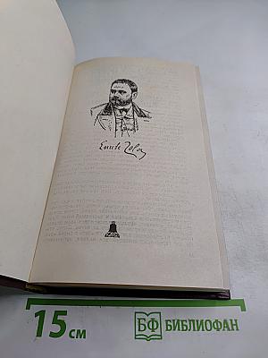 Эмиль Золя. Том двенадцатый: Жерминаль