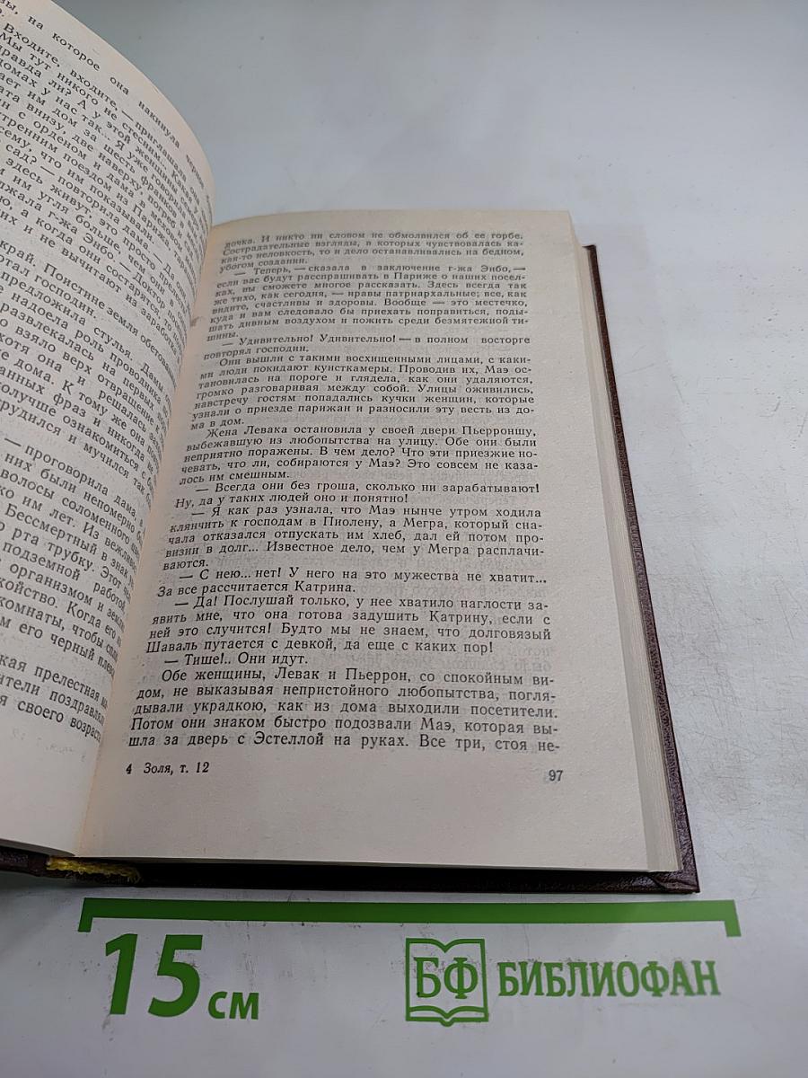 Эмиль Золя. Том двенадцатый: Жерминаль