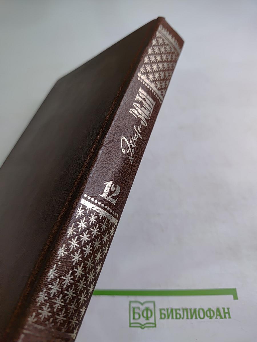 Эмиль Золя. Том двенадцатый: Жерминаль