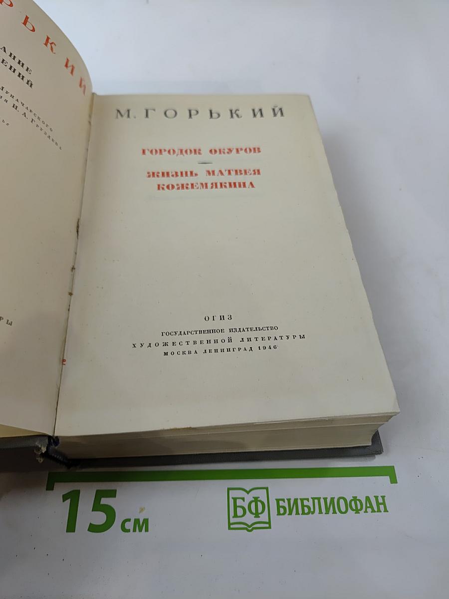 Городок Окуров. Жизнь Матвея Кожемякина