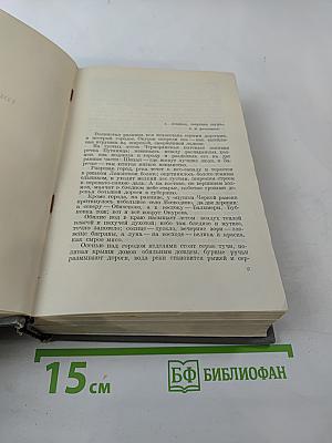 Городок Окуров. Жизнь Матвея Кожемякина