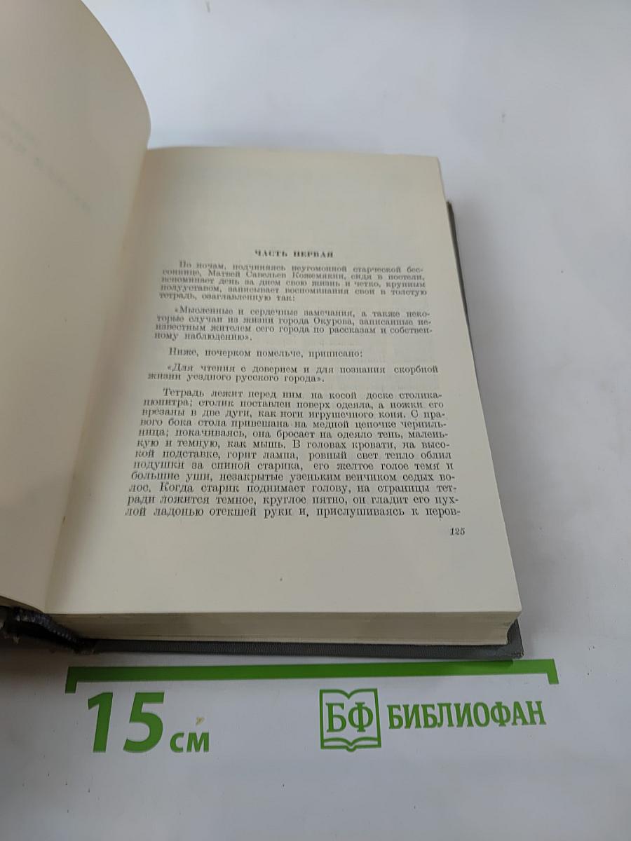 Городок Окуров. Жизнь Матвея Кожемякина