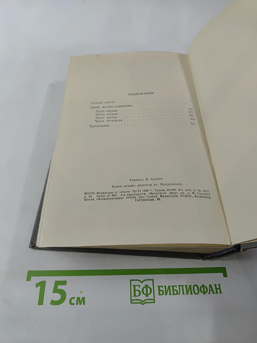 Городок Окуров. Жизнь Матвея Кожемякина