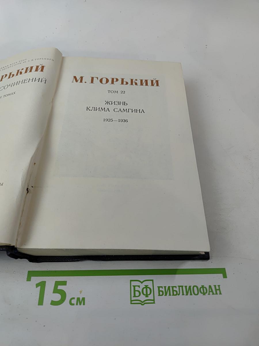 Жизнь Клима Самгина (Том 22)