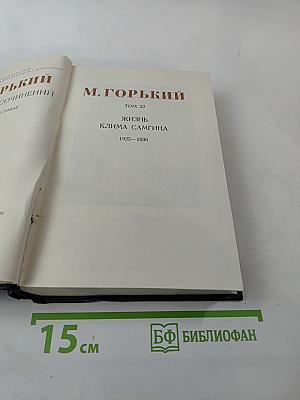 Жизнь Клима Самгина (Том 22)