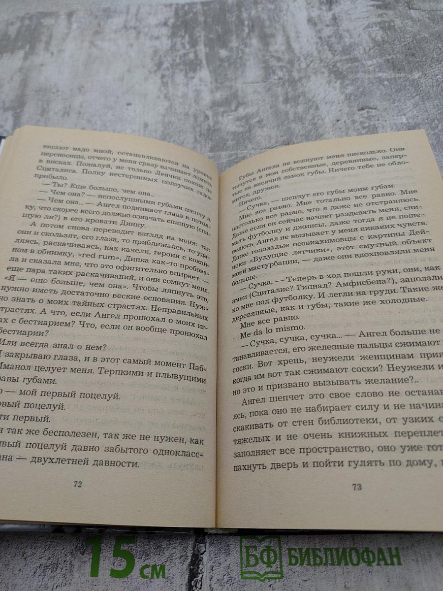 Любовники в заснеженном саду. 2 книга