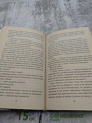 Любовники в заснеженном саду. 2 книга