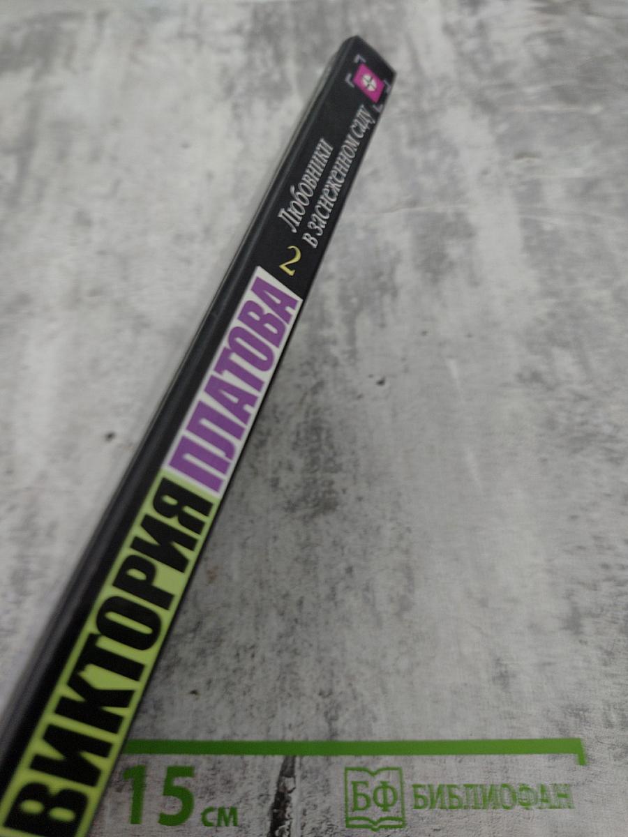 Любовники в заснеженном саду. 2 книга