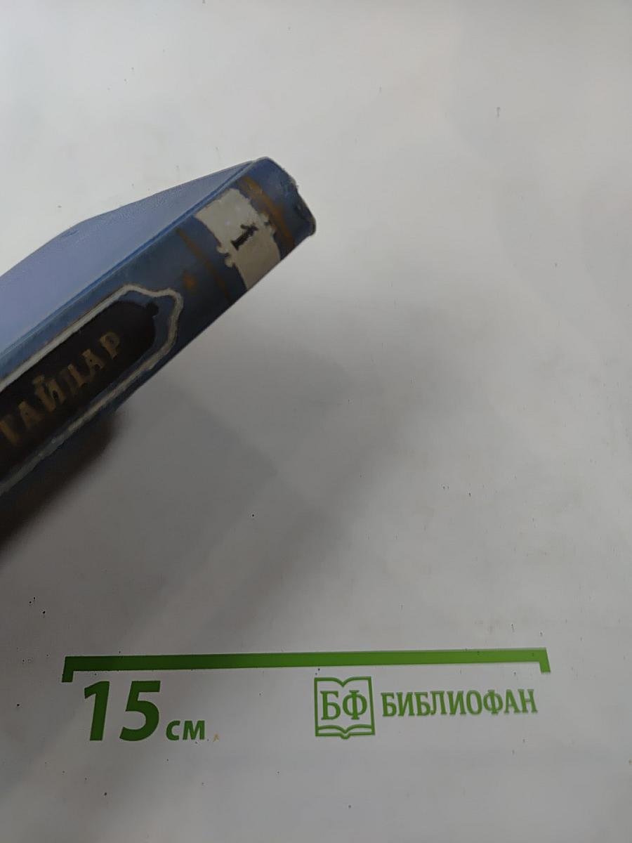 Аркадий Гайдар. Том первый