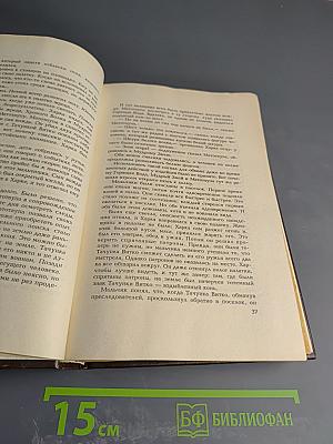 Топ и гарри