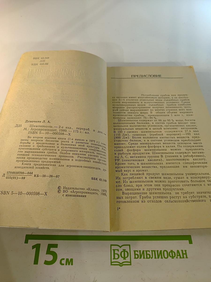 Шампиньоны