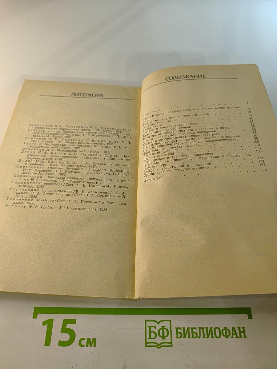 Шампиньоны